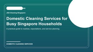 Domestic Cleaning Services in Singapore: A Practical Guide for Busy Households